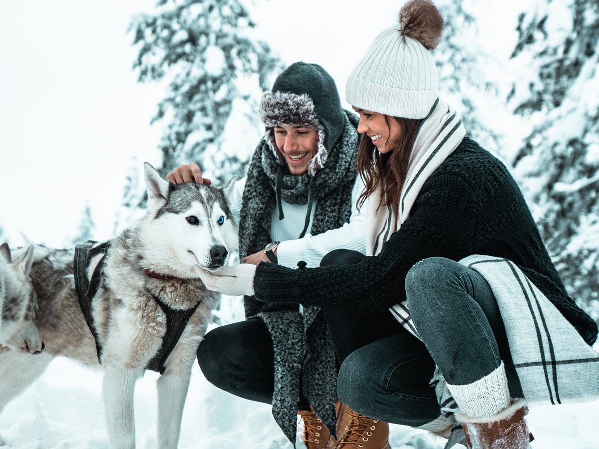 Husky-Co